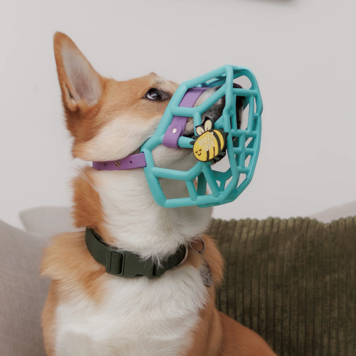Snooties™ – Muzzle Charm