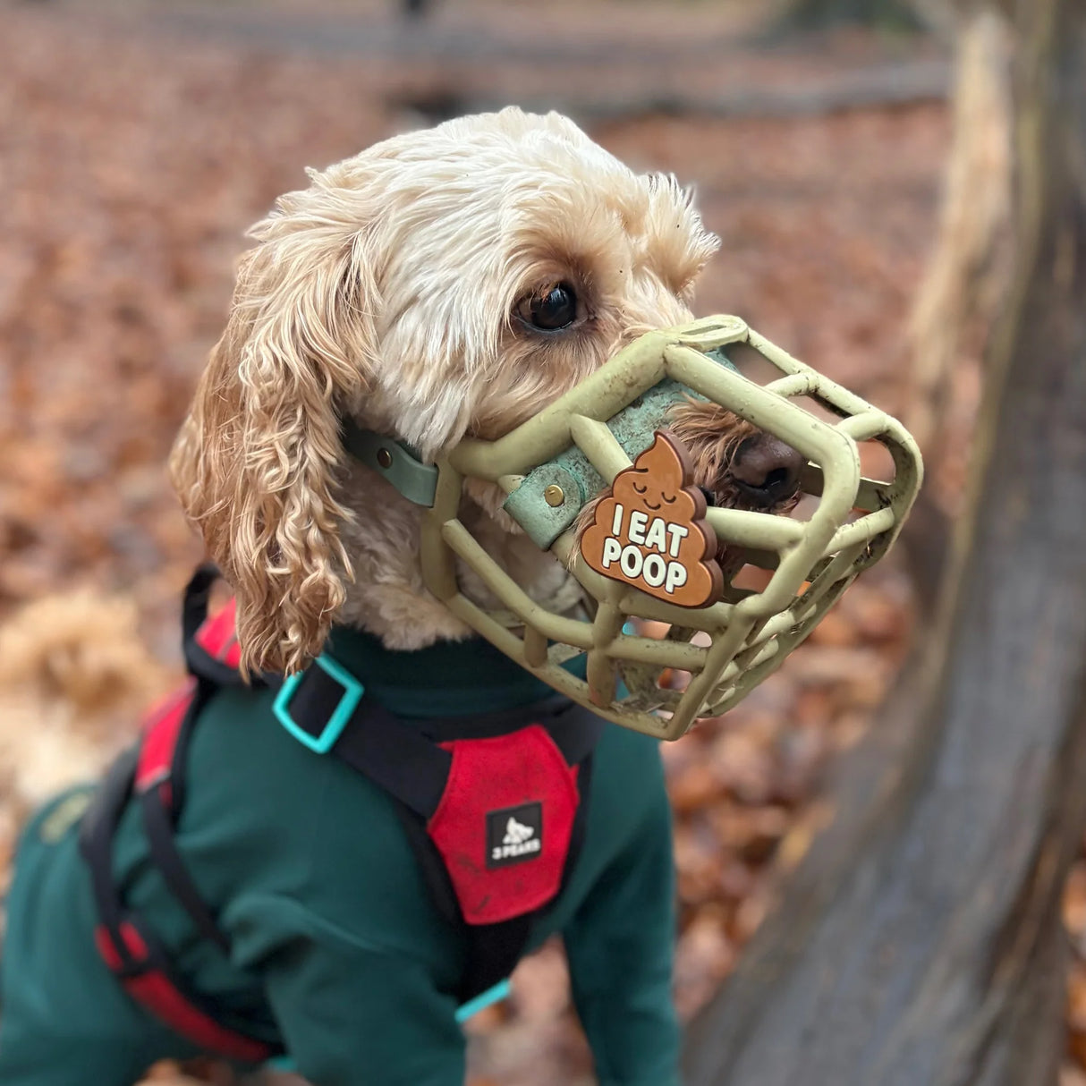 Snooties™ – Muzzle Charm