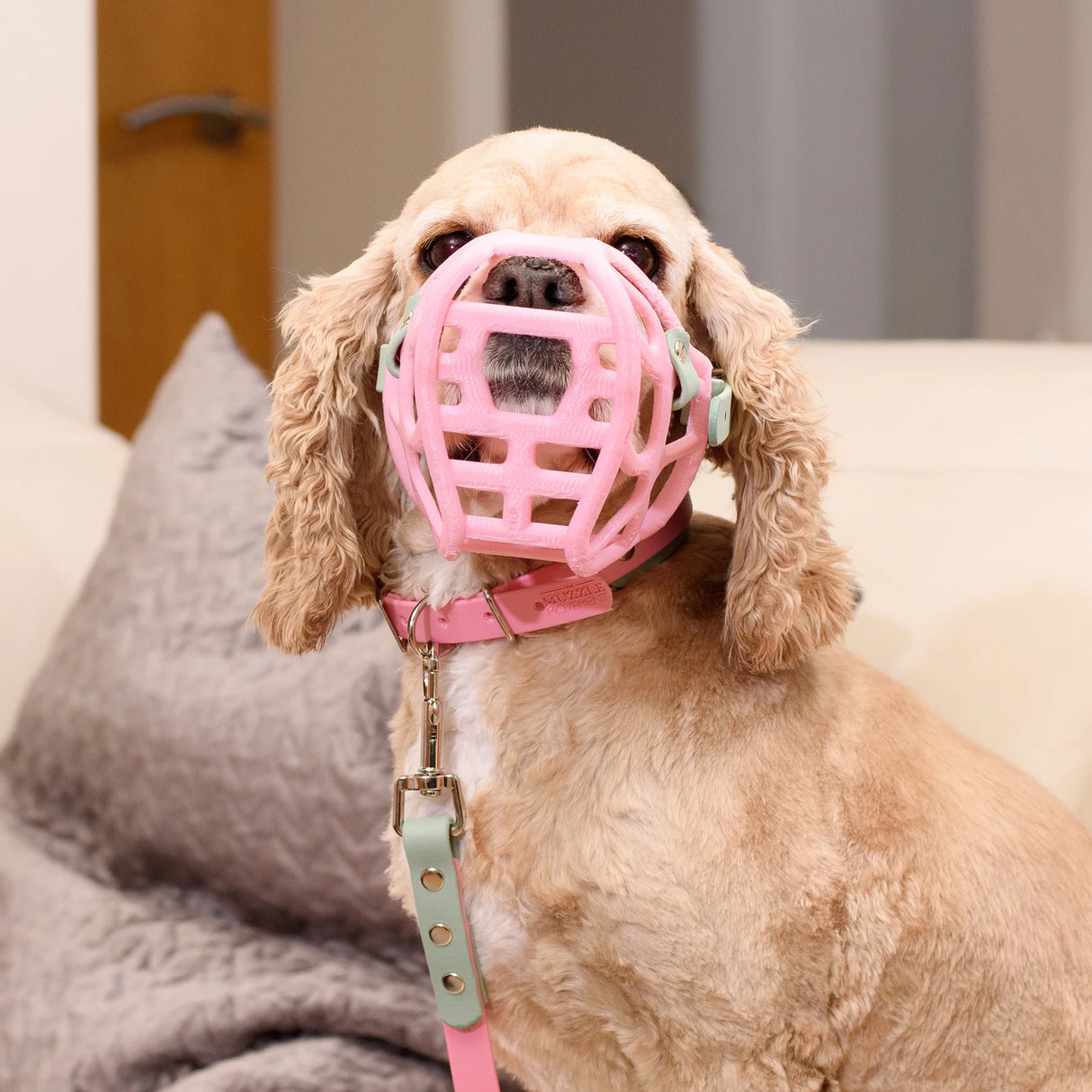 Mia Muzzle (Due Sept 2026) Price TBC