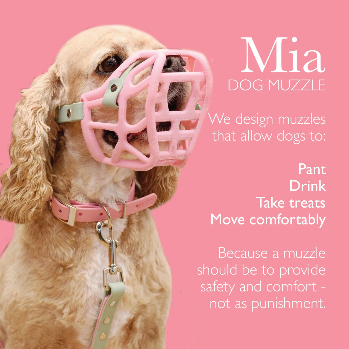 Mia Muzzle (Due Sept 2026) Price TBC
