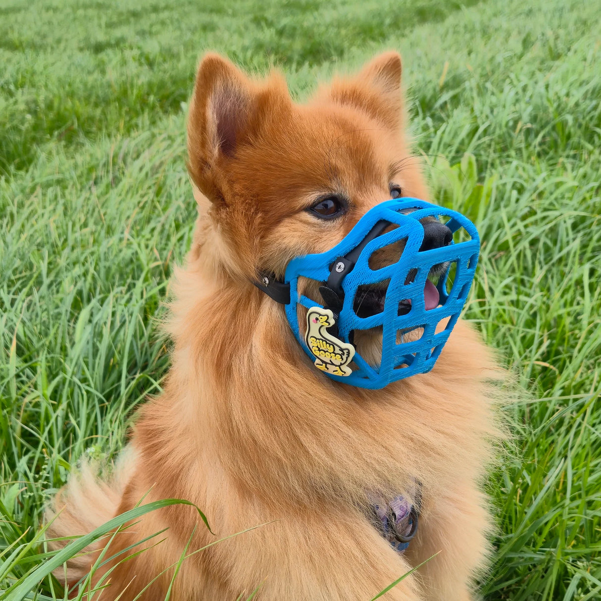 Snooties™ – Muzzle Charm