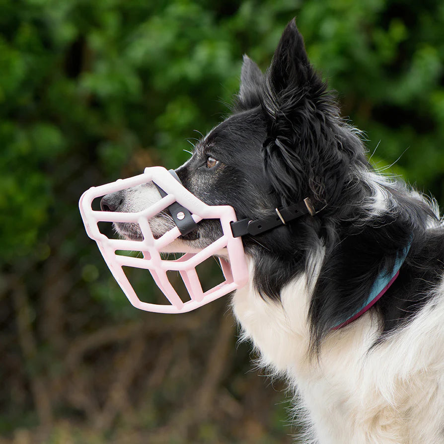Neli Muzzle