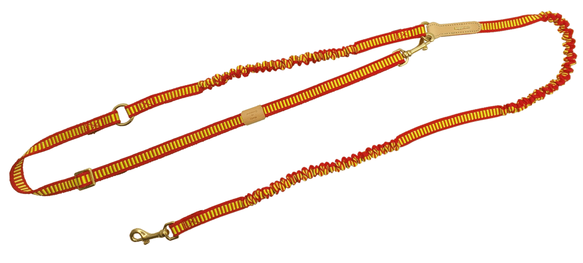 Niggeloh Shoulder Leash Stretch