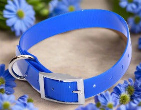 TRANSLUCENT BIOTHANE DOG COLLARS SMALL TO XL