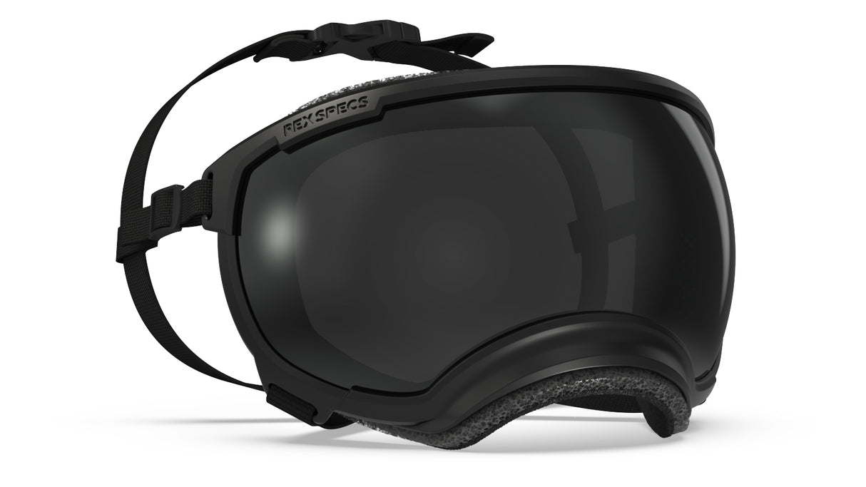 Rex Specs V2 Dog Goggles Large