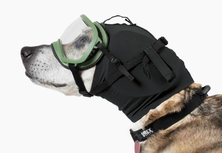 Rex Specs EAR PRO Canine Hearing Protection