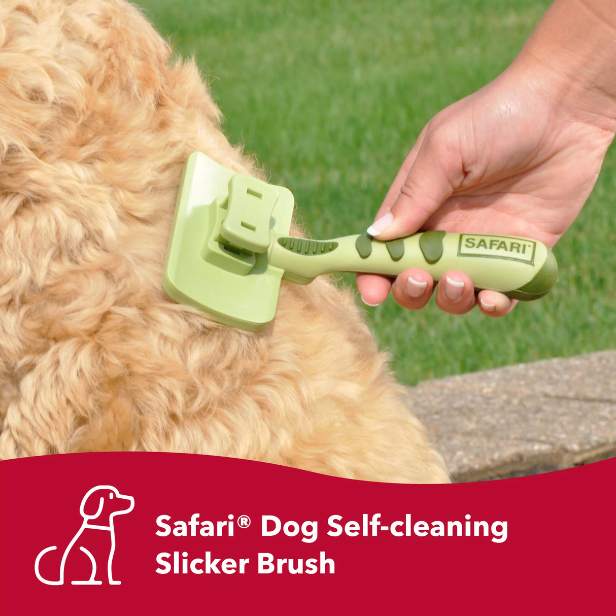 Safari Self Cleaning Slicker Brush Large