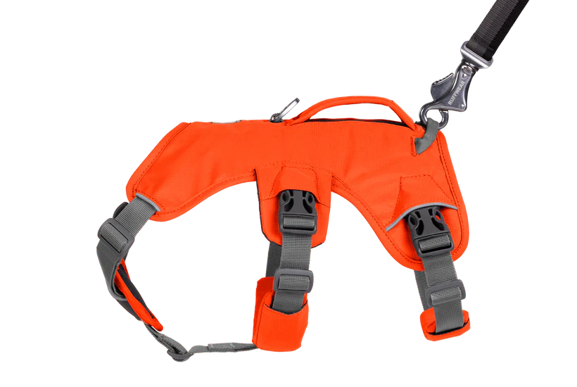 Web Master Harness