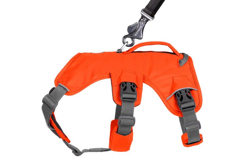 Web Master Harness