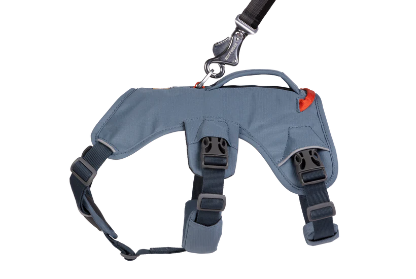 Web Master Harness