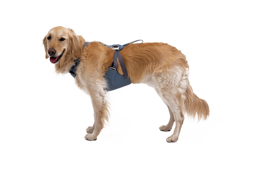 Ruffwear Load Up Dog Car Harness