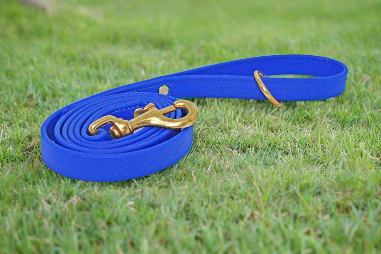 2.5 Meter Biothane Dog Lead Multiple colours and widths