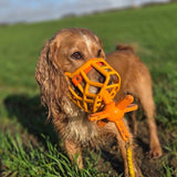 Muzzle Mates Muzzle Friendly Fetch Toy