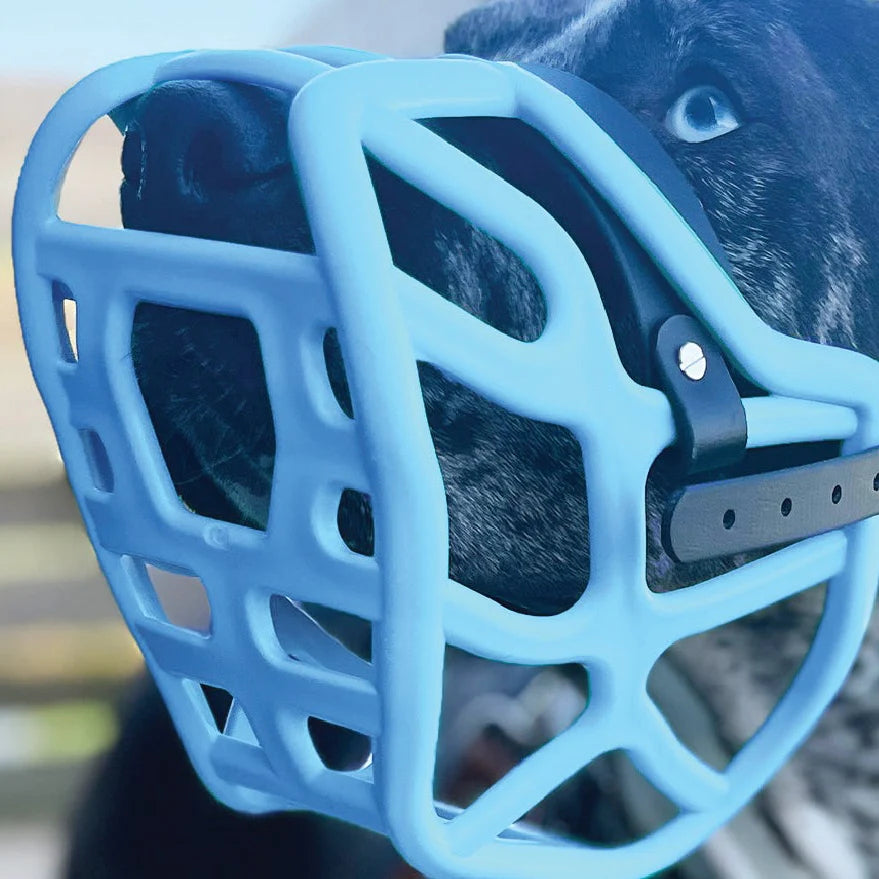 Harry Muzzle
