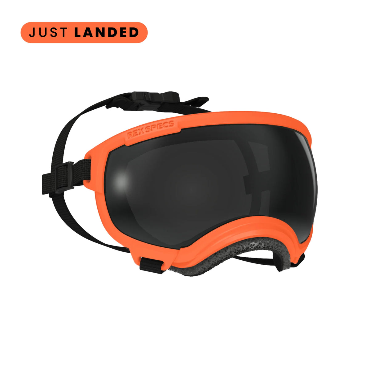 Rex Specs V2 Dog Goggles Extra Large
