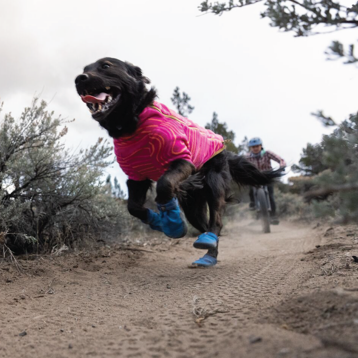 Ruffwear Hi and Light Trail Shoe River Rock Green