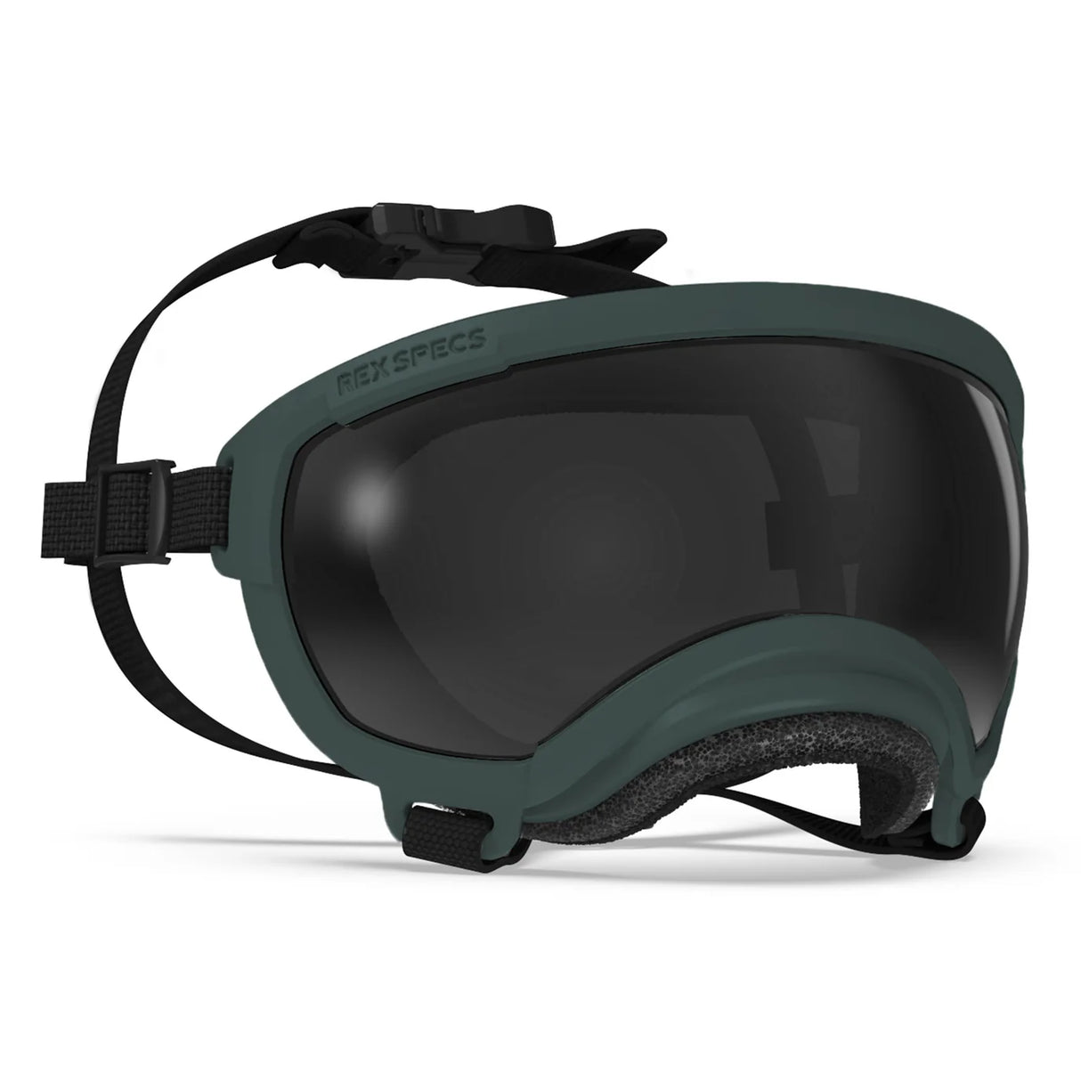 Rex Specs V2 Dog Goggles Large