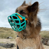 Taz Muzzle