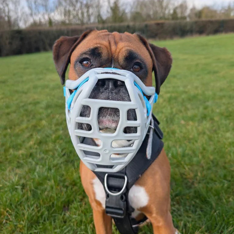 Pippa Muzzle