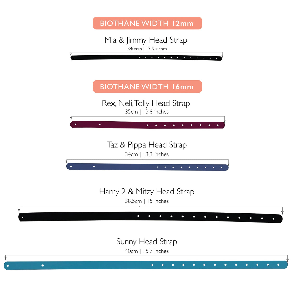 Biothane Head Strap