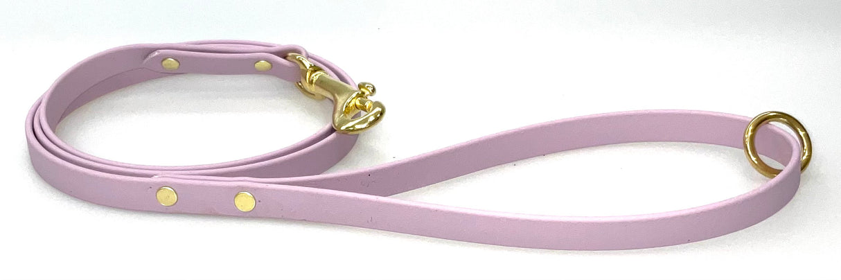 13mm Wide x 160cm long Leads Multiple Colours