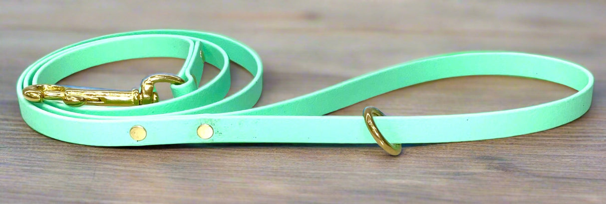 13mm Wide x 160cm long Leads Multiple Colours