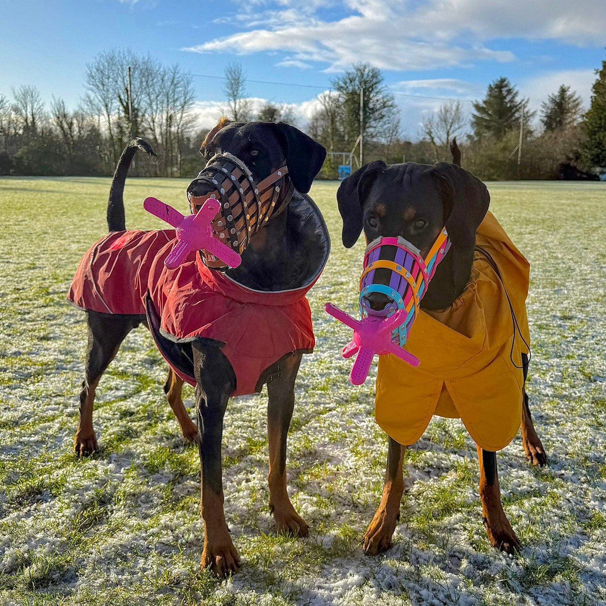 Muzzle Mates Muzzle Friendly Fetch Toy