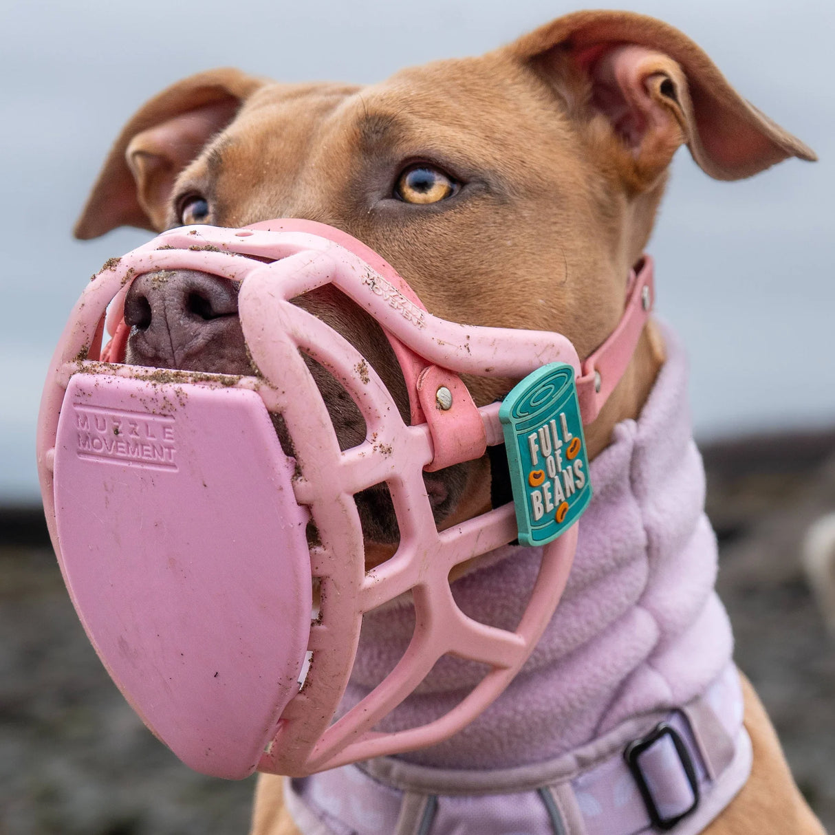 Pippa Muzzle