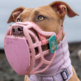 Pippa Muzzle