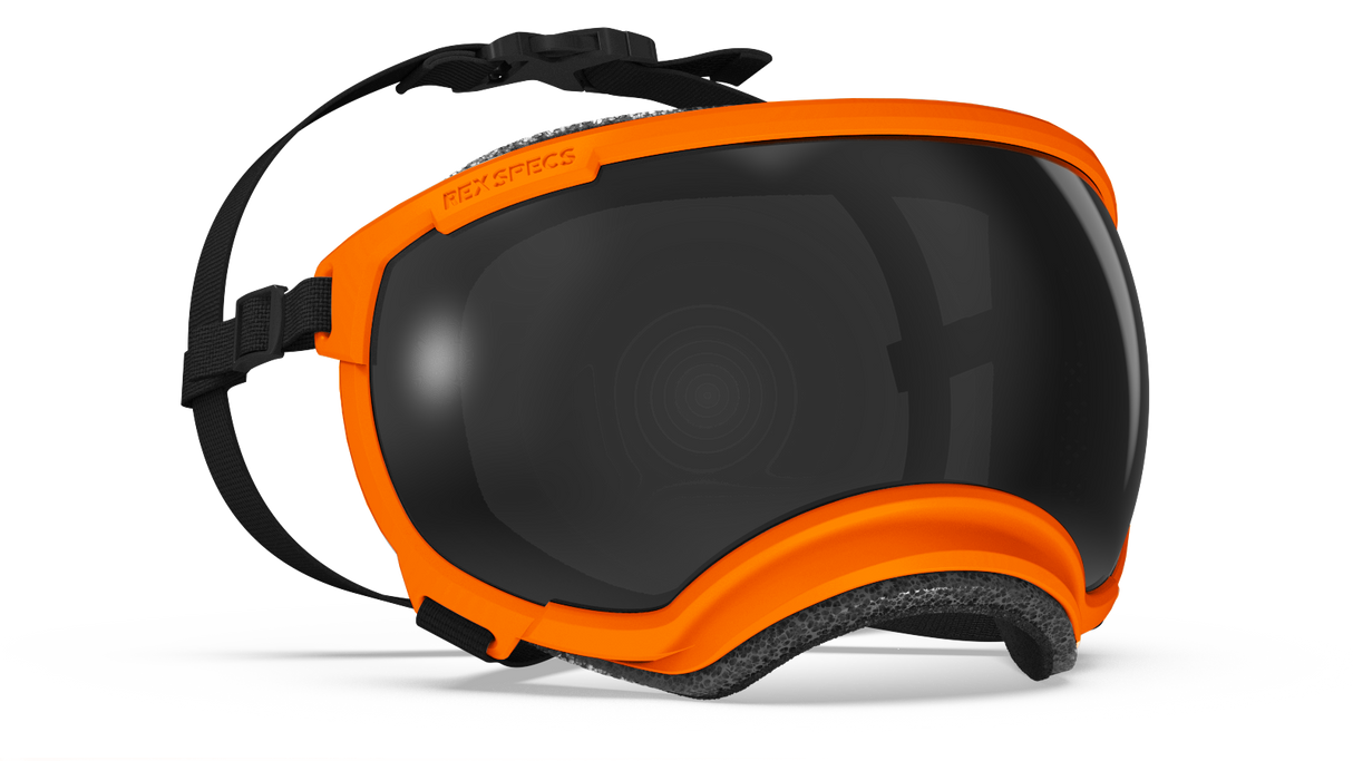 Rex Specs V2 Ozark Orange Frame