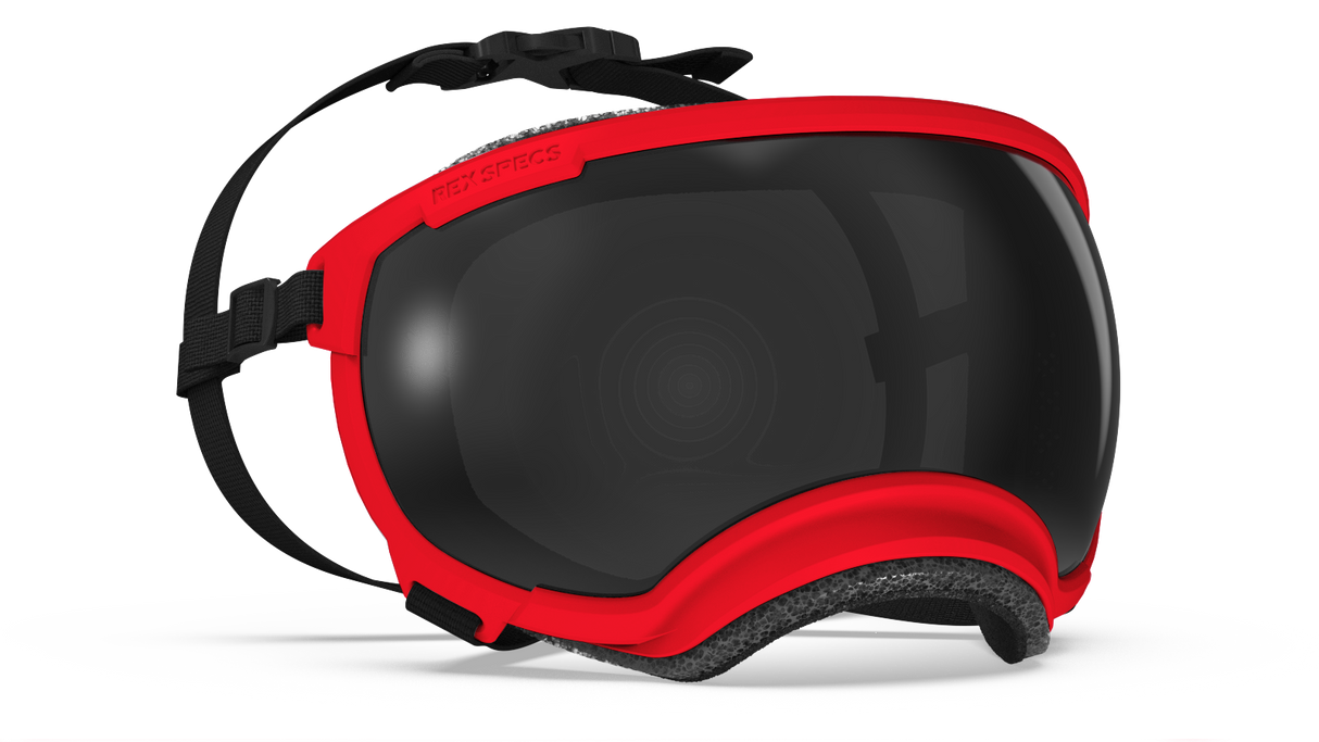 Rex Specs V2 Ranger Red Frame