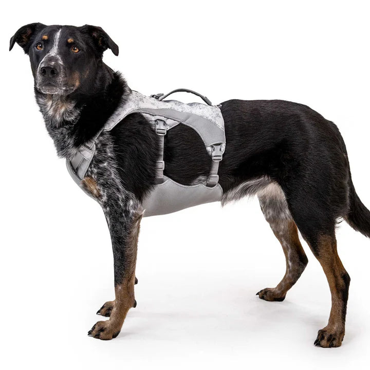 Ruffwear Swamp Cooler Cooling Vest
