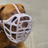 Harry Muzzle