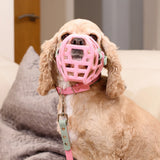 Mia Muzzle (Due Sept 2026) Price TBC