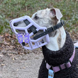 Snooties™ – Muzzle Charm