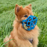 Snooties™ – Muzzle Charm