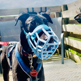 Neli Muzzle