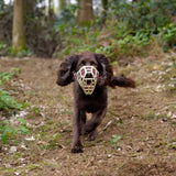Neli Muzzle