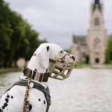 Taz Muzzle