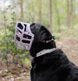 Taz Muzzle