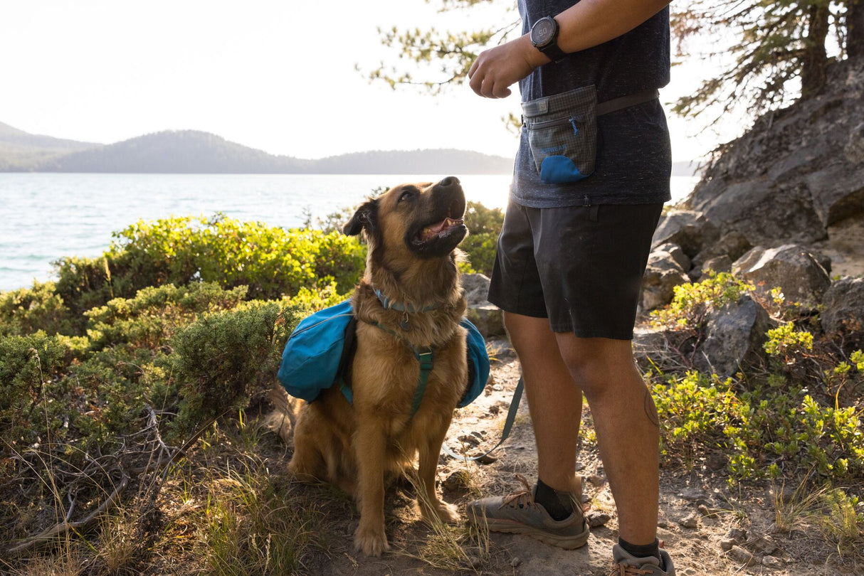 Ruffwear Treat Trader