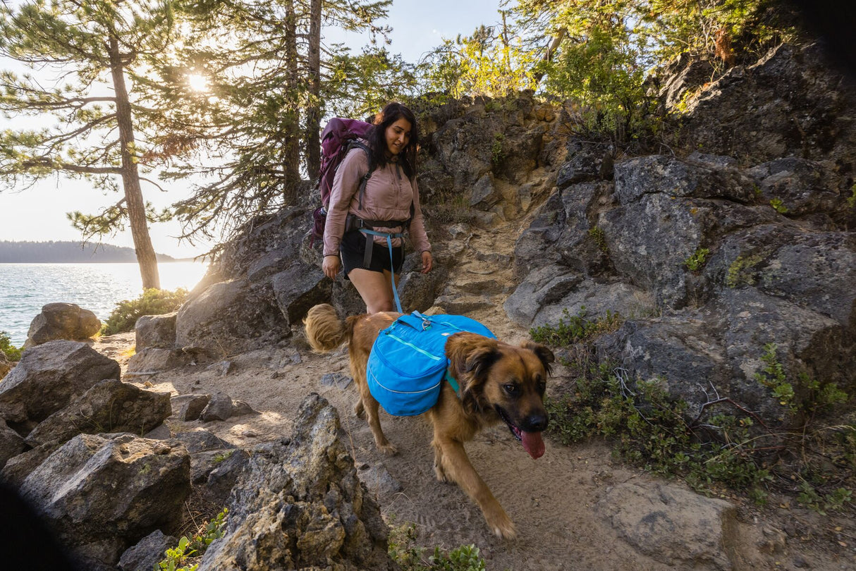 Ruffwear Approach Pack