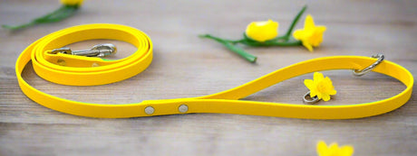 13mm Wide x 120cm long Leads Multiple Colours