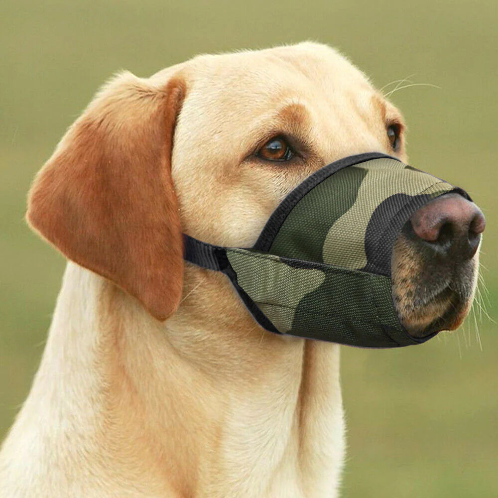 Nylon Muzzle