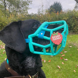Snooties™ – Muzzle Charm