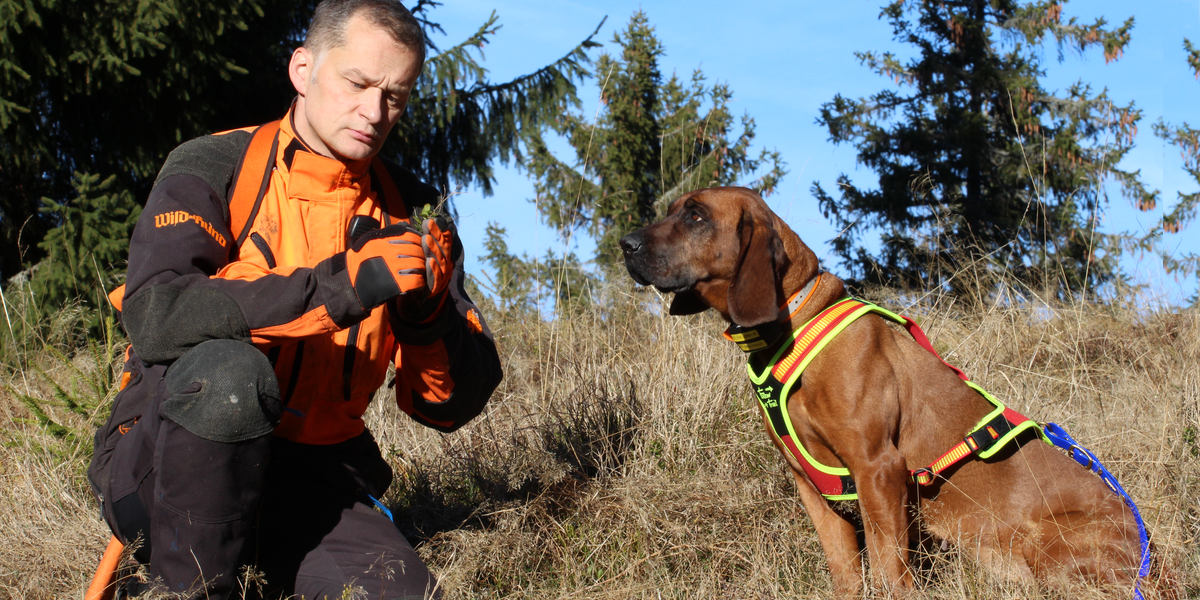 Blood Tracker Harness Follow Trail