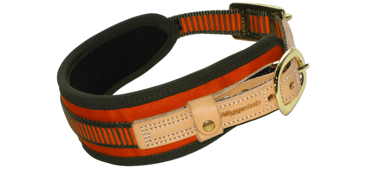 Niggeloh Blood Tracking Collar