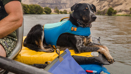 Ruffwear Float Coat Life Jacket