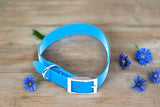 TRANSLUCENT BIOTHANE DOG COLLARS SMALL TO XL