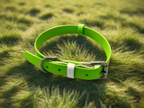 BIOTHANE DOG COLLARS SMALL TO XL